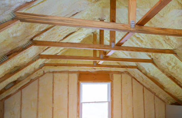 Best Cellulose Insulation  in King Cove, AK