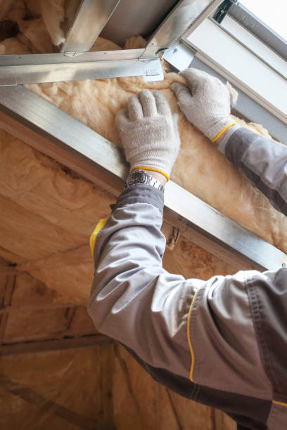 Best Insulation for New Construction  in King Cove, AK