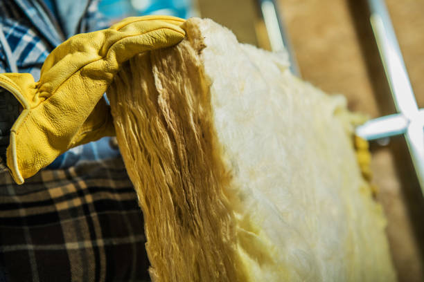 Attic Insulation Near Me in King Cove, AK